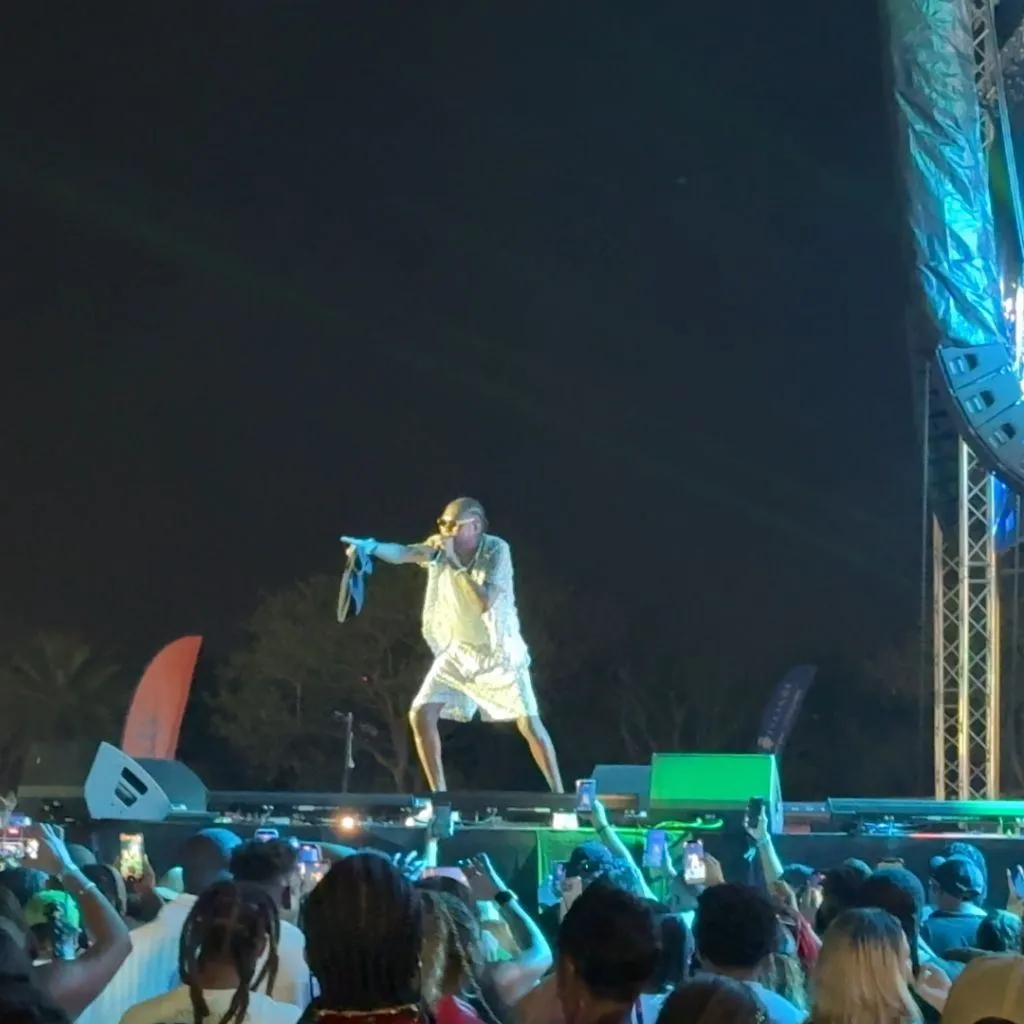 Vybz Kartel Live 2026